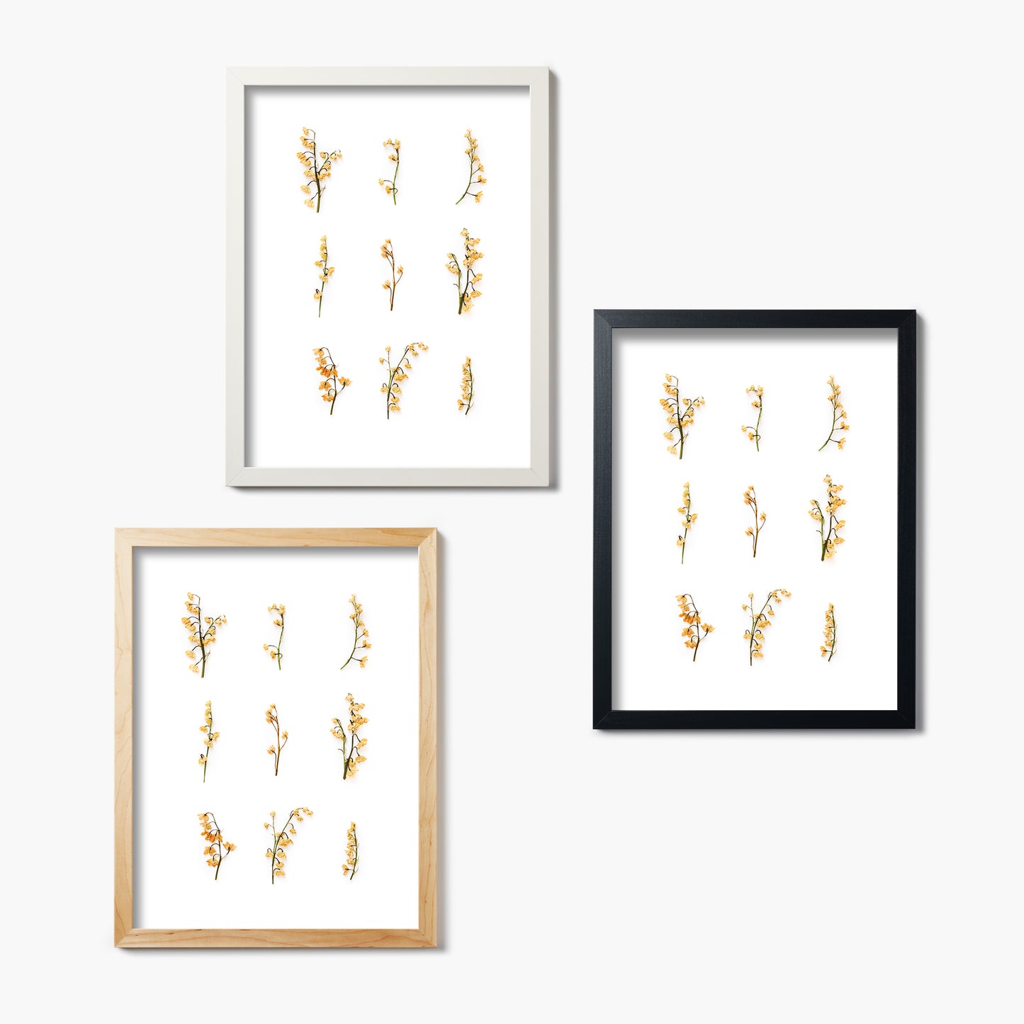 May Lily Of The Valley Pressed Floral Custom Name Print