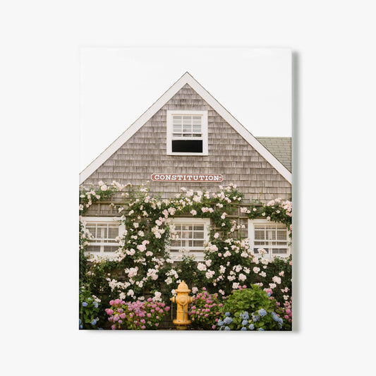 Nantucket Rose