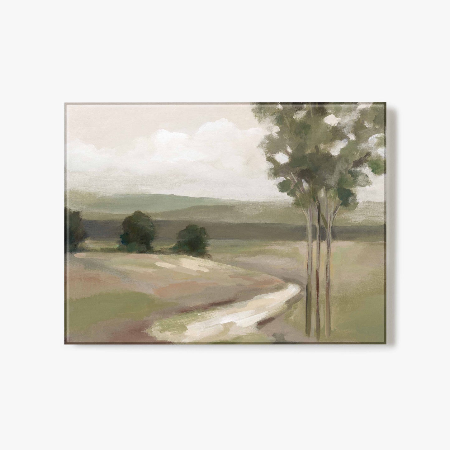 Olive Trees