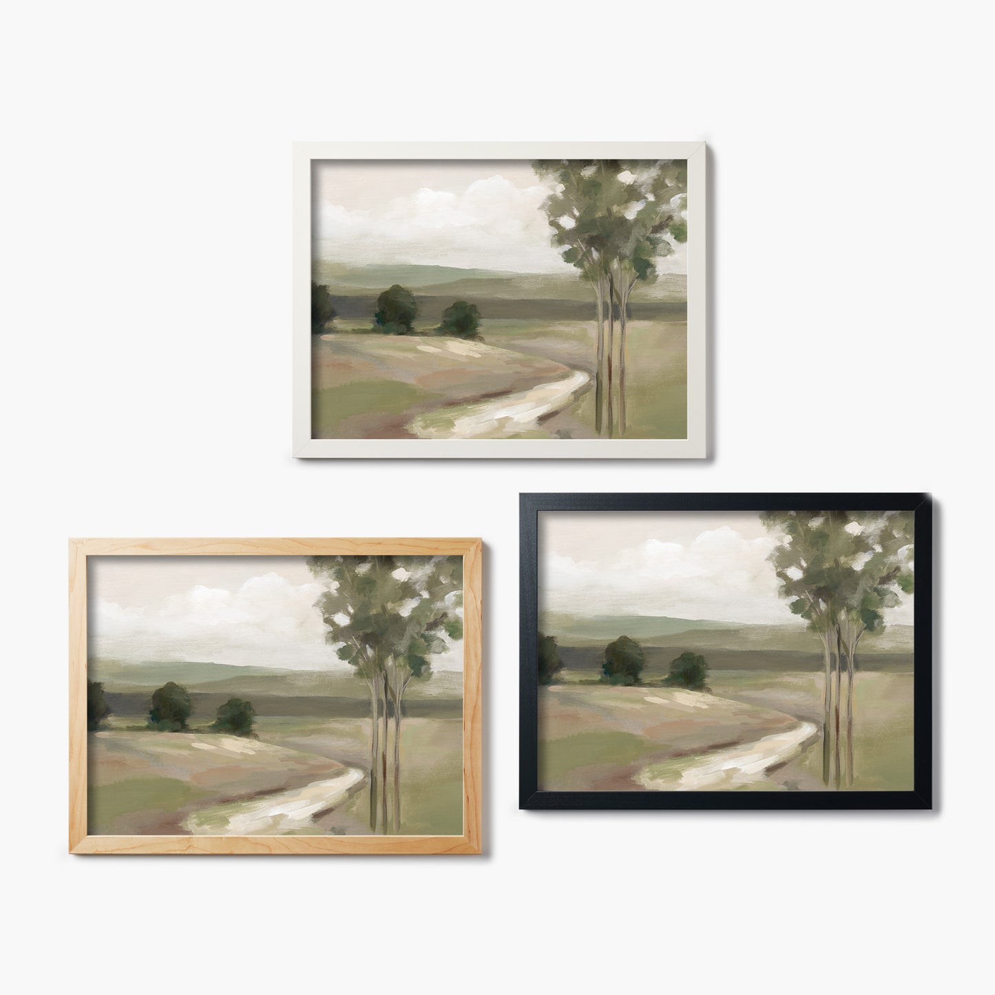 Olive Trees