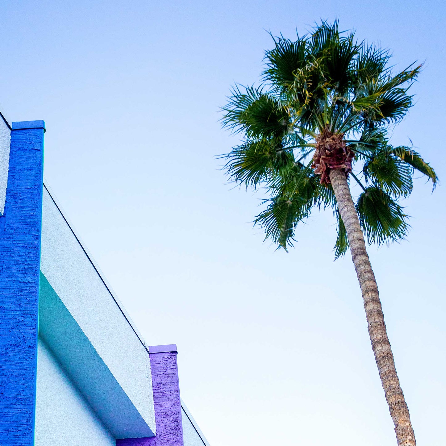 Palm Springs Pop