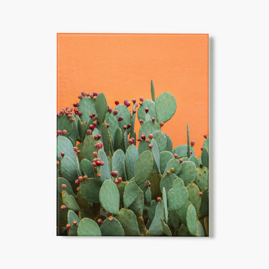 Prickly Pop