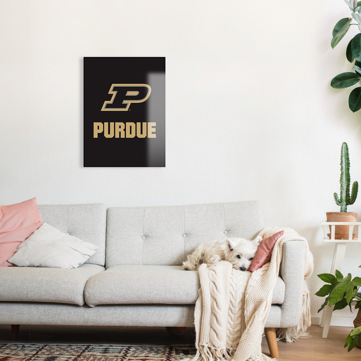 Purdue P