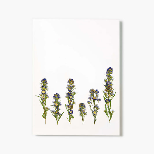 September Aster Pressed Floral Print