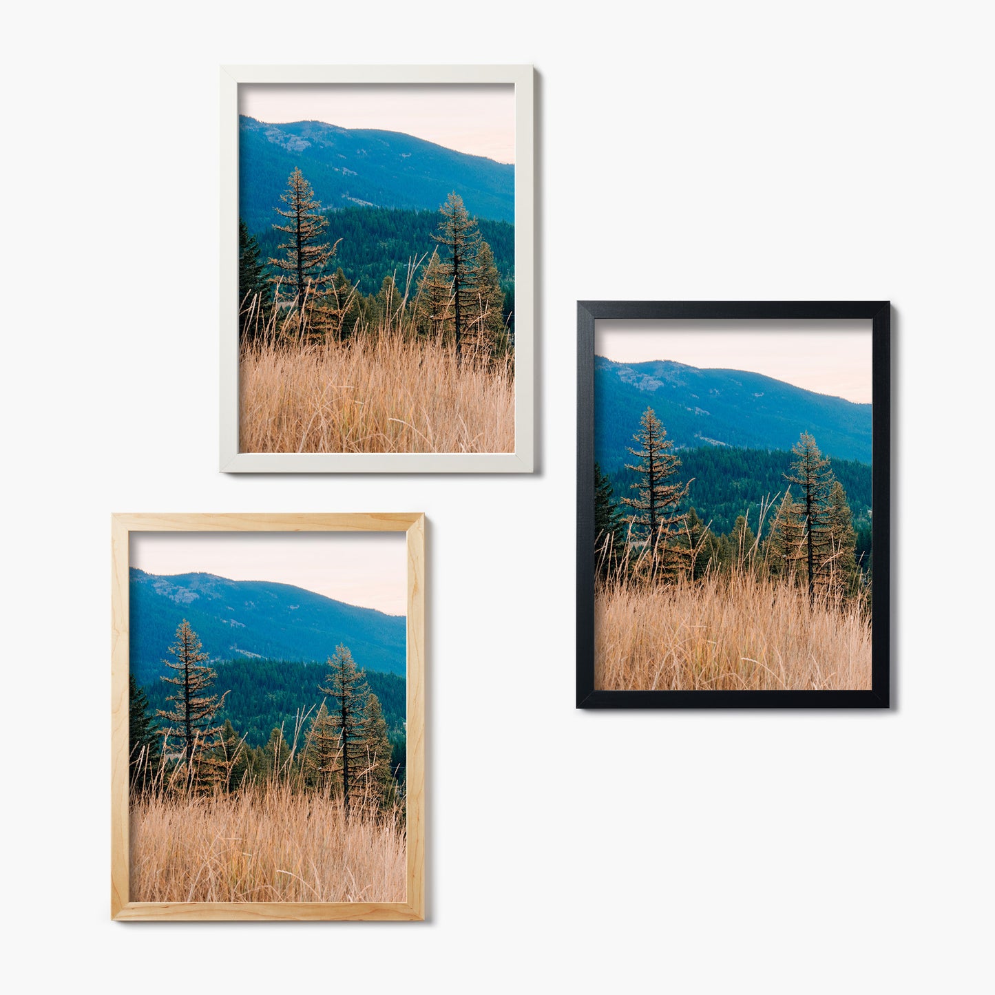 Whitefish Montana Triptych