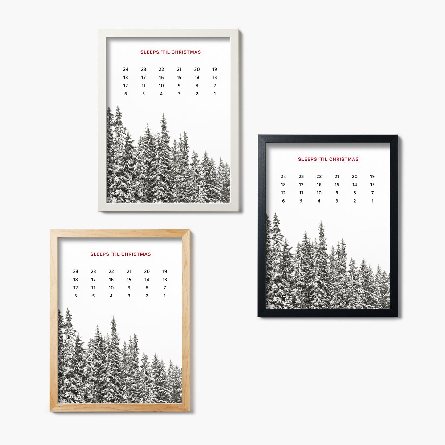 Gold Lake Trees Sleeps Til Christmas