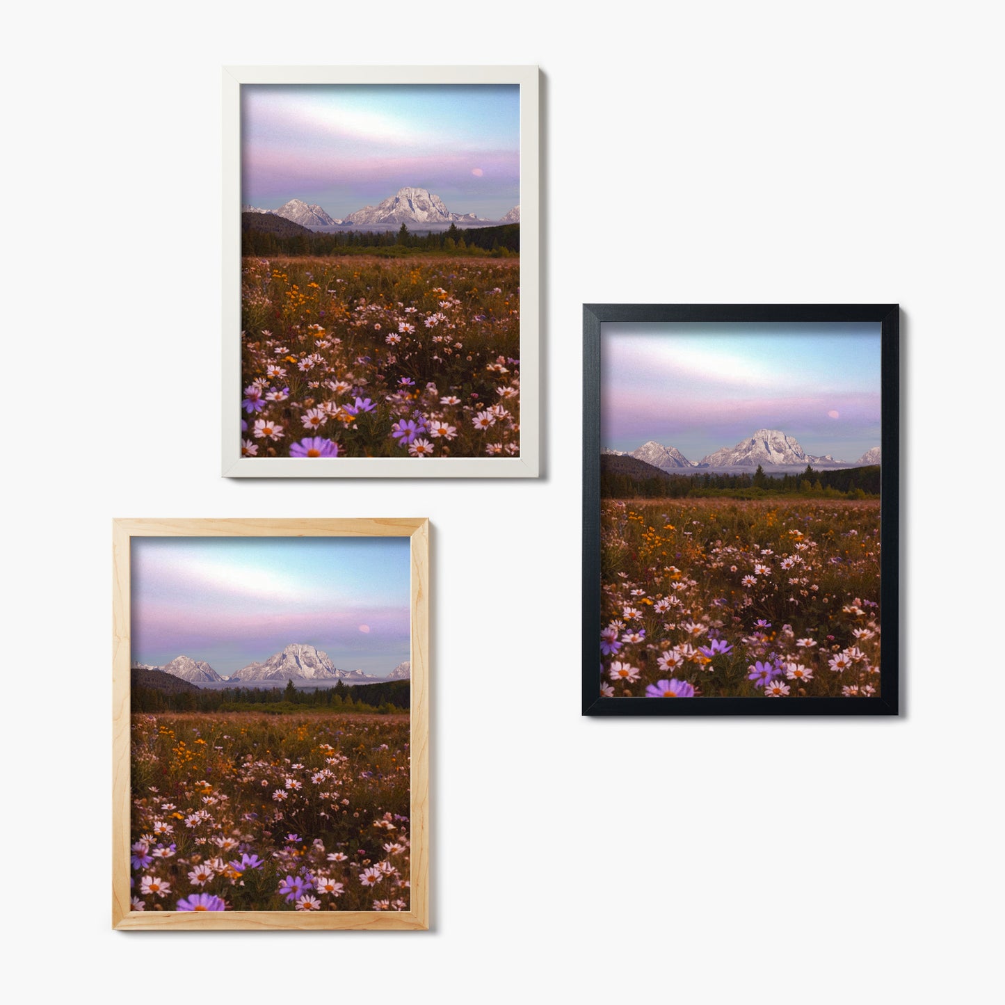 Soft Frontier