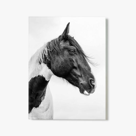 Soul Of The Steed