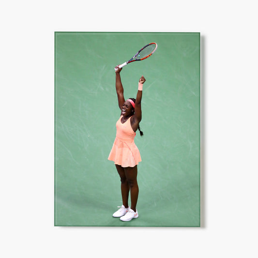 Sloane Stephens US Open Champion 2017