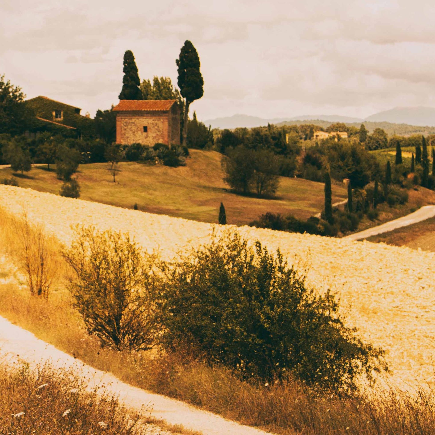 Strada Bianca II