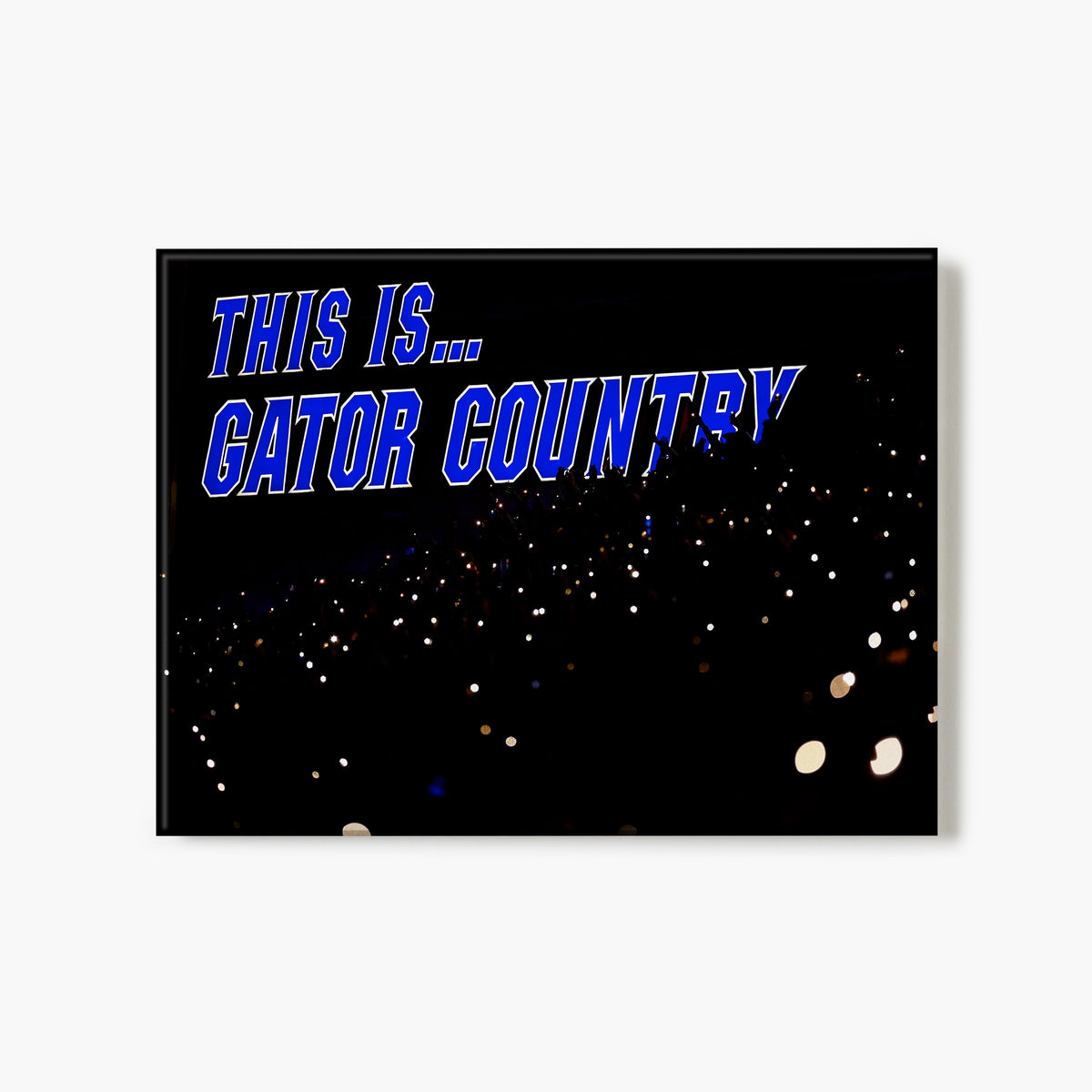 This Is Gator Country