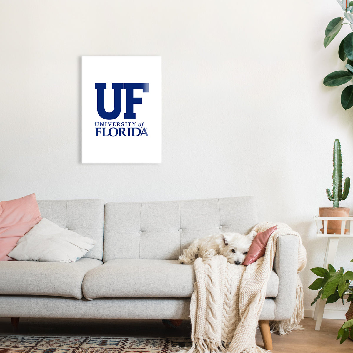 University of Florida UF