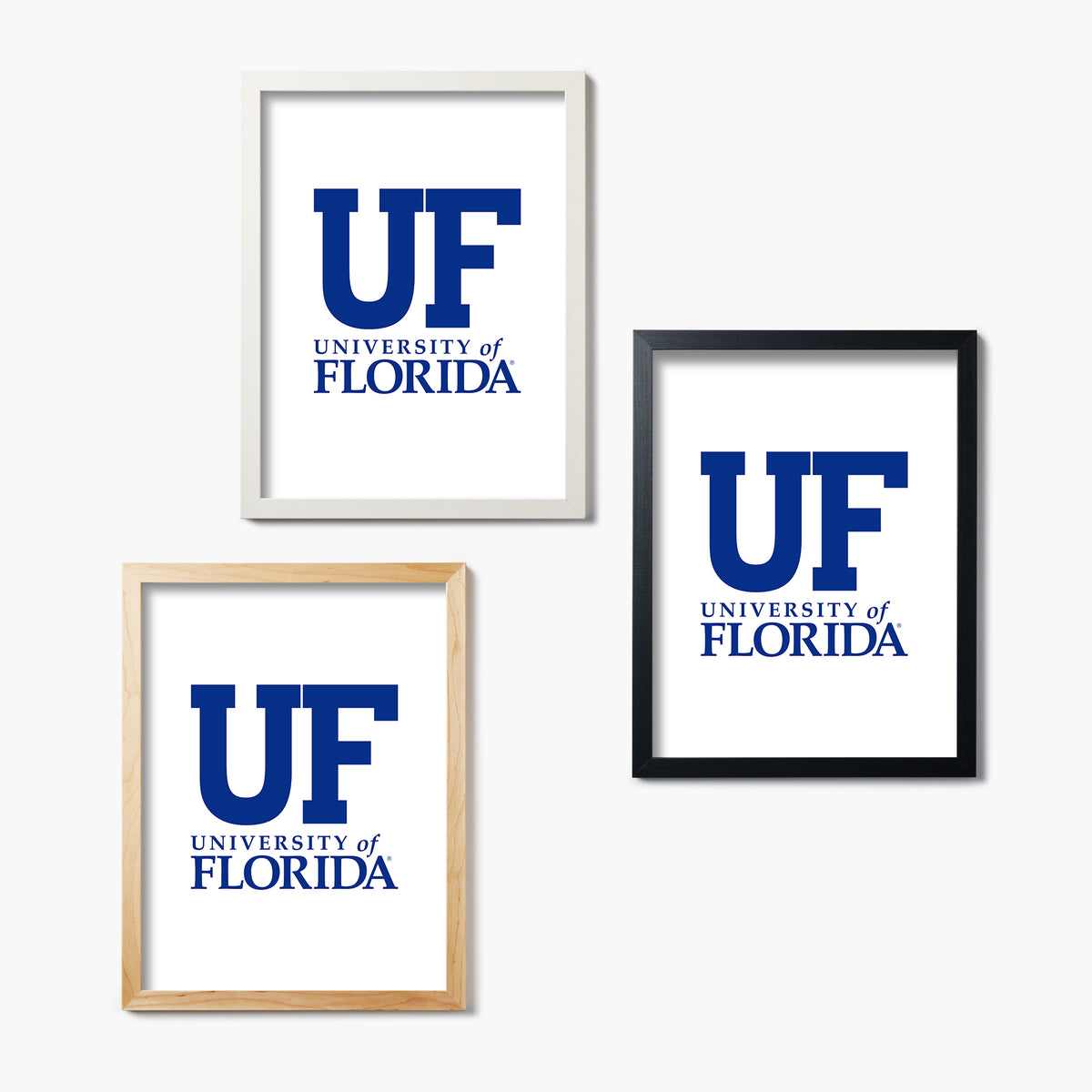 University of Florida UF
