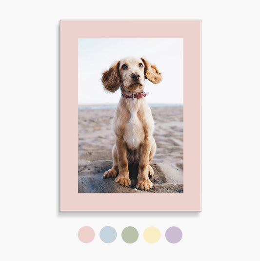 Custom Glass Prints | Sweet Blooms